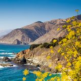 California Coast Wine Tasting foto