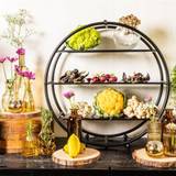 Highland Harvest - Farm to Table Dinner Foto