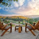 Stories From The Soil: Picnic With Lone Madrone Foto