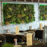 Cover image for Elite Kitchen