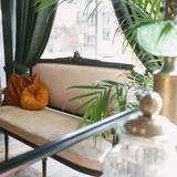 Cover image for The Library Social Club