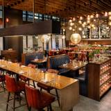 Cover image for Mayrose