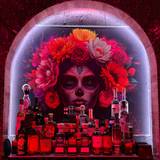 Cover image for Papi & Rosita