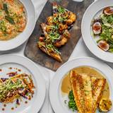 Cover image for CIRCA at Navy Yard