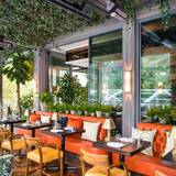 Cover image for The Ivy in the Park