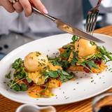 Cover image for The Finch - Dallas