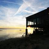 Cover image for Rusty Pelican - Tampa