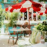 Cover image for Tree of Life