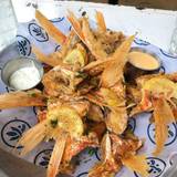 Cover image for Southerleigh Fine Food & Brewery