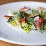 Cover image for Mesa Provisions