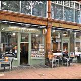 Cover image for Beirut Garden