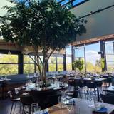 Cover image for STIRR-Addison