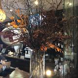 Cover image for Basilico