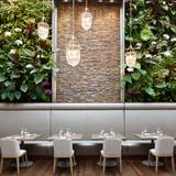 Cover image for Sassafraz