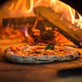 Cover image for Sofia New Orleans