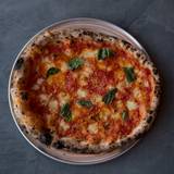 Cover image for Fiorella Polk