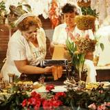 Cover image for Filomena Ristorante