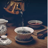 Cover image for Shogun Sushi and Noodle Bar