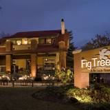 Cover image for The Fig Tree Restaurant - Charlotte, NC
