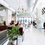 Cover image for Restaurant Melisse