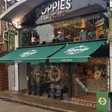 Cover image for Poppies Camden