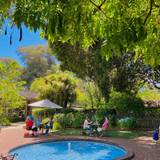 Cover image for Cafe Wisteria