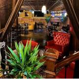 Cover image for Needle & Thread