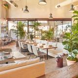 Cover image for Girl & the Goat L.A.