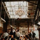 Cover image for Celadon - Napa