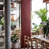 Cover image for The Green