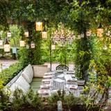 Cover image for Becca