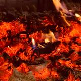 Cover image for Black Cow Chophouse