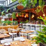 Cover image for Eataly Boston - Terra