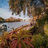 Cover image for Riverhouse Restaurant