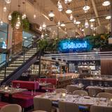 Cover image for Bellucci Italia