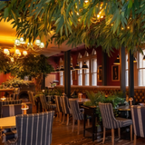 Cover image for The Fountain House