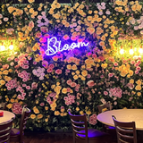 Cover image for Bloom Botanical Bistro