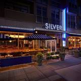 Cover image for Silver - Cathedral Commons