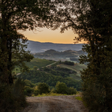 写真（A Taste of Tuscany）