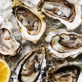 BUCK A SHUCK ALL DAY EVERY WEDNESDAY photo