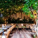 Cover image for Altair