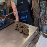 Truffle hunting in Tuscan hills with normal lunch foto
