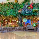 Cover image for Rainforest Cafe - Grapevine Mills