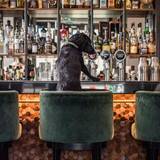 Cover image for Smith & Whistle Bar & Terrace - Sheraton Grand London Park Lane