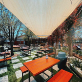 Cover image for Smoky Rose