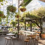 Cover image for Sixes and Sevens