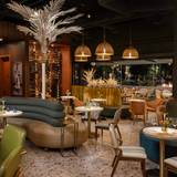 Cover image for Canopy Wine Lounge