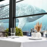Cover image for The Terrace at Suite Lounge