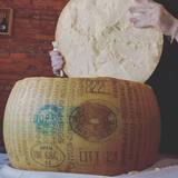 CHEESE WHEEL PASTA EVERY DAY! photo