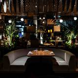 Cover image for Boa Steakhouse - Austin